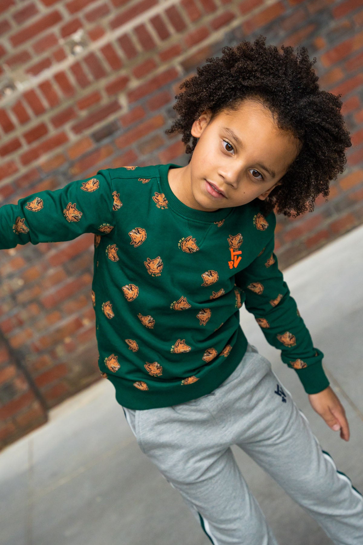 Sweater All-Overprint Jesse Donker Groen - TYGO&vito