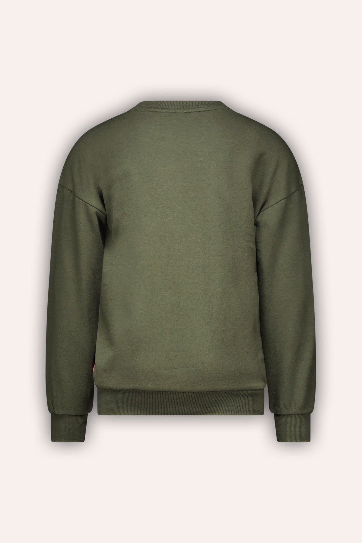 Sweater Sanne Thijmgroen - TYGO&vito