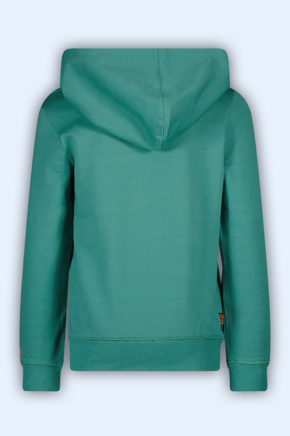 Hoody Hugo Groen - TYGO&vito