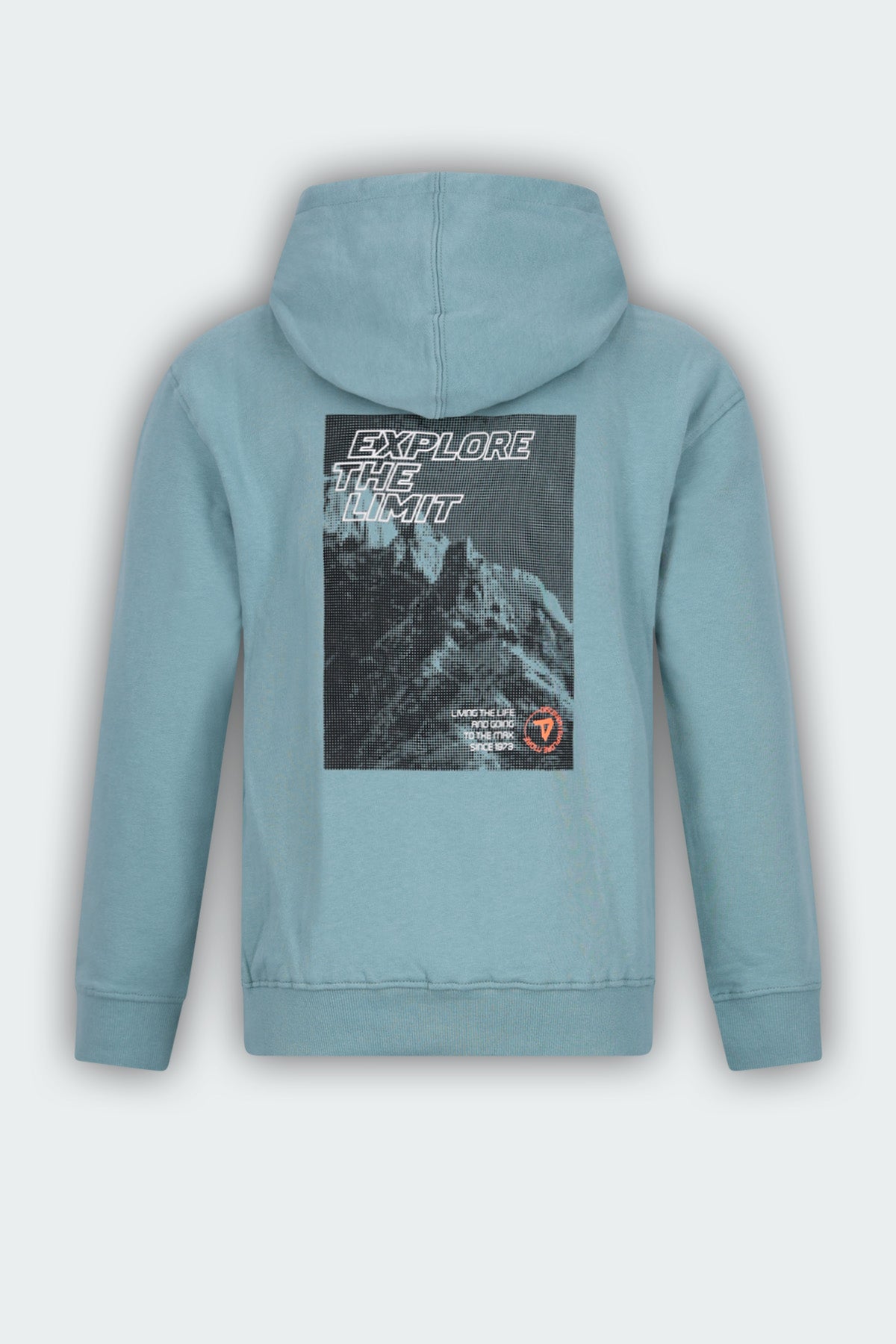 Hoodie Nigel Licht Groen