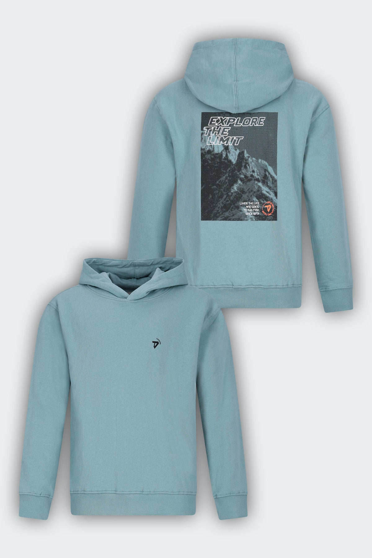 Hoodie Nigel Licht Groen