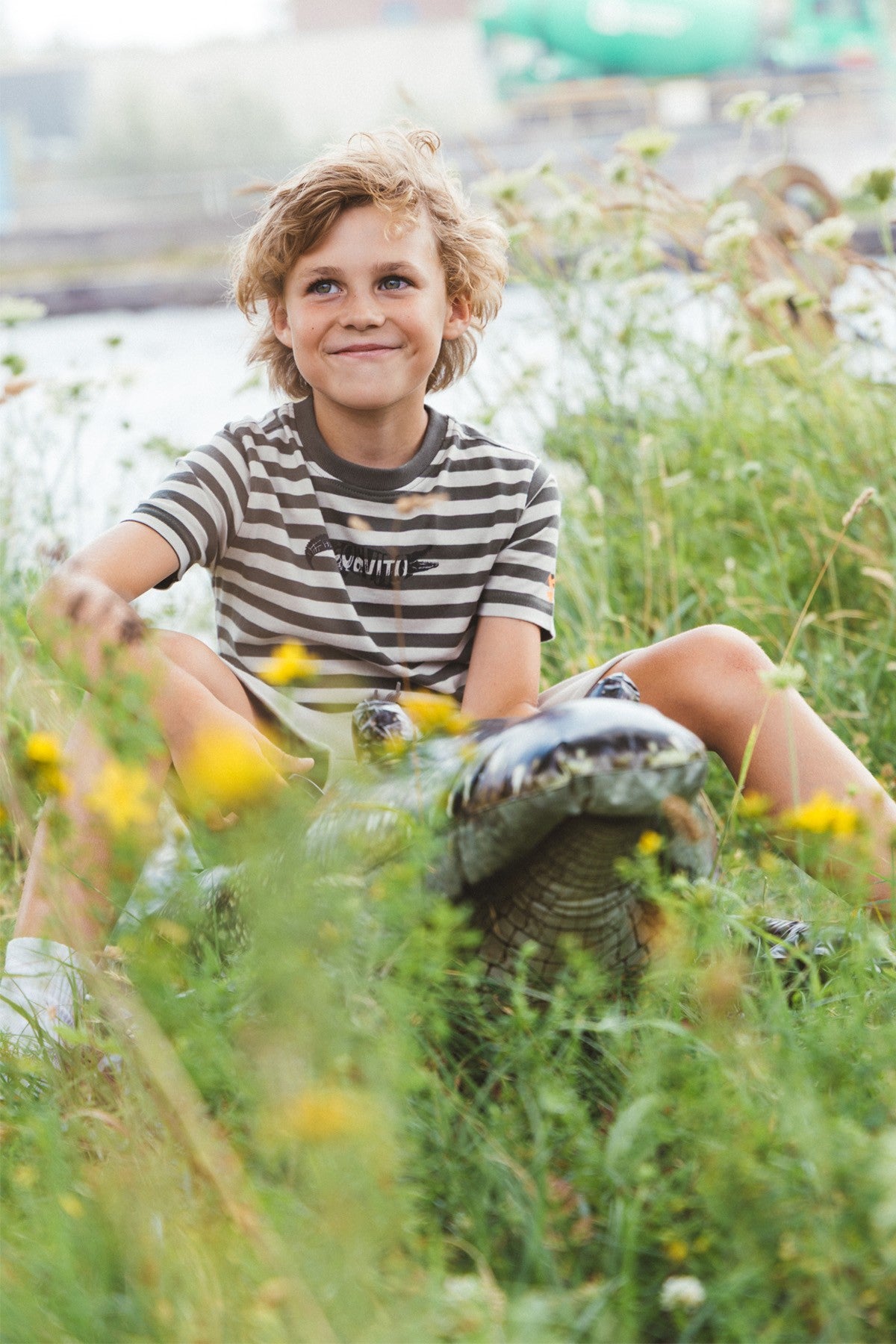 T-shirt Desmond Olijfgroen