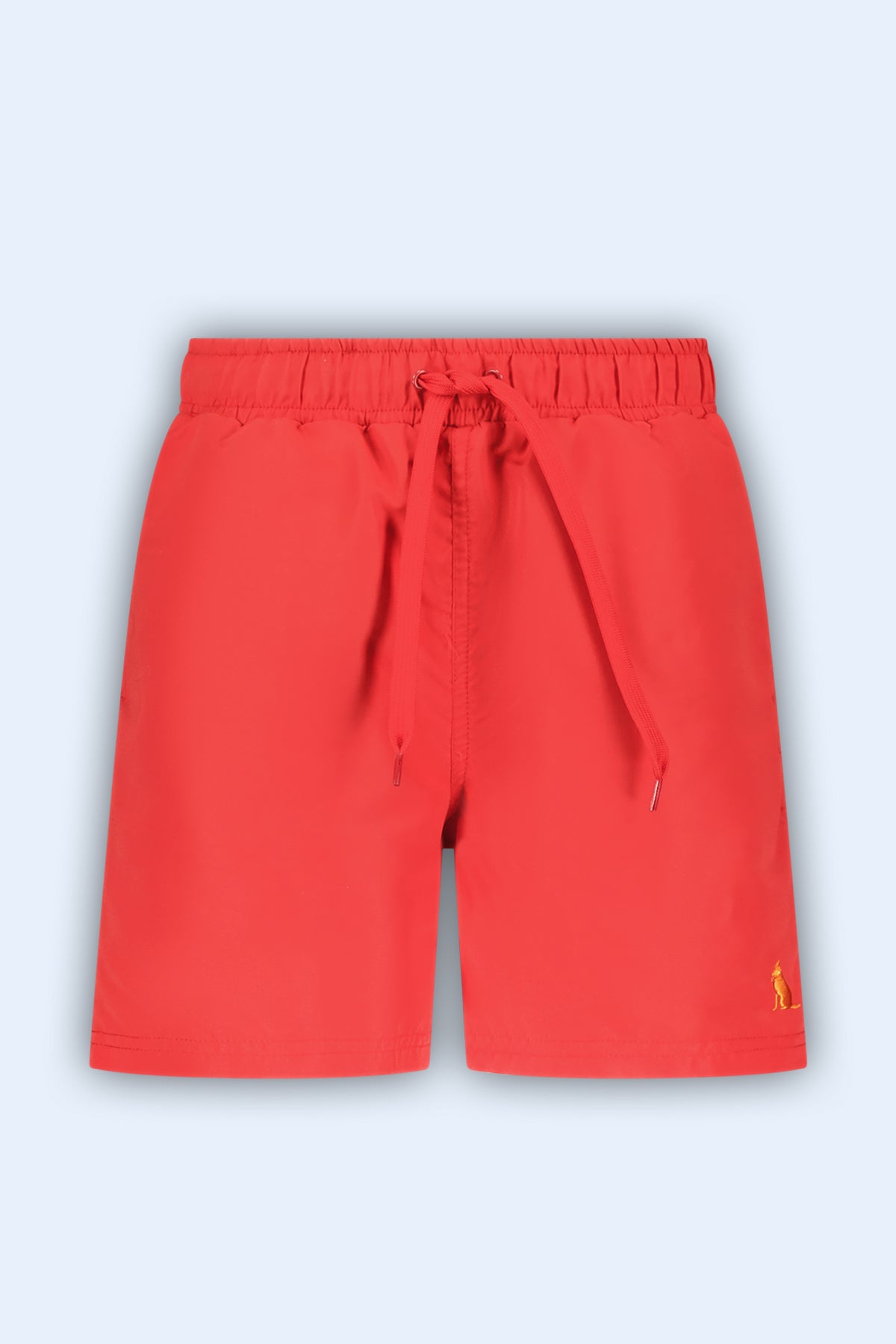 Swimshort Bobby Rood - TYGO&vito