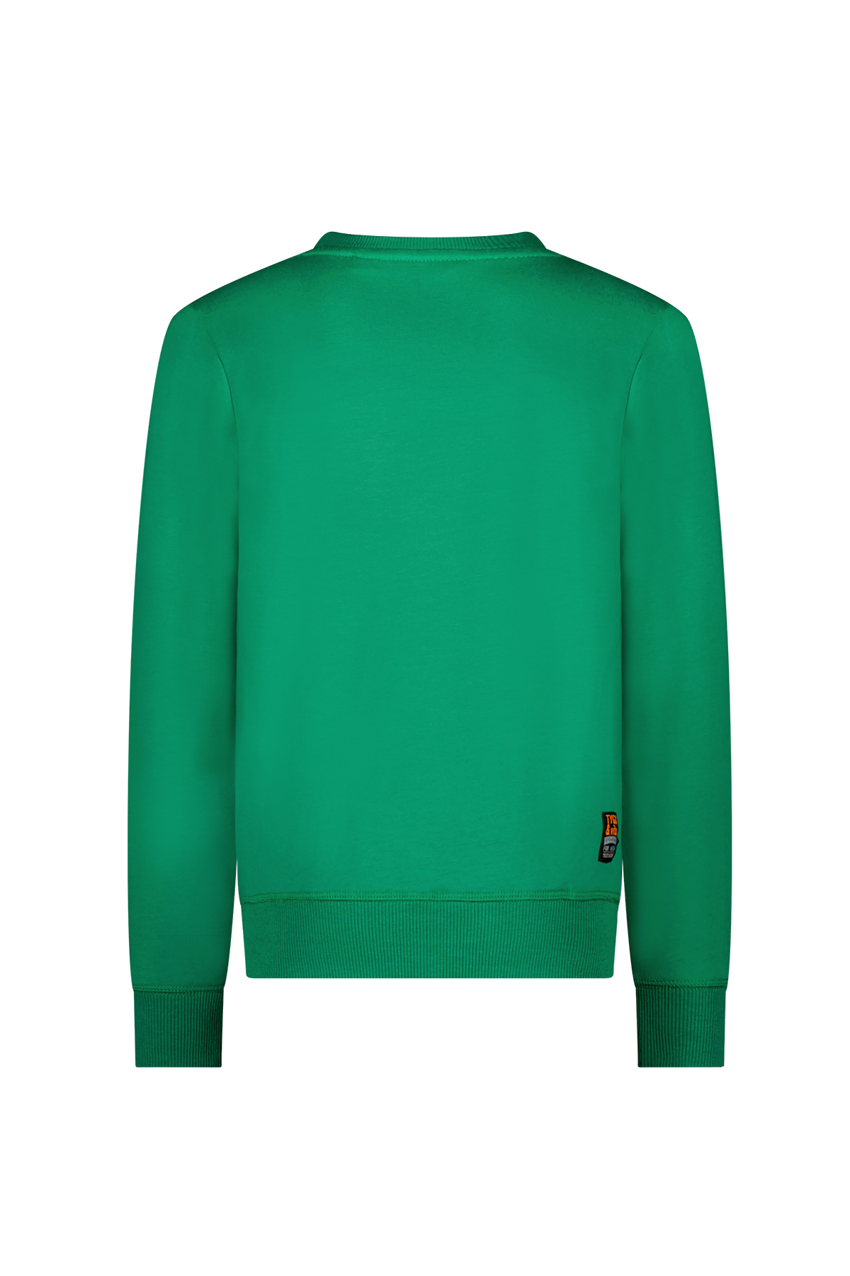 Sweater Tygo  groen