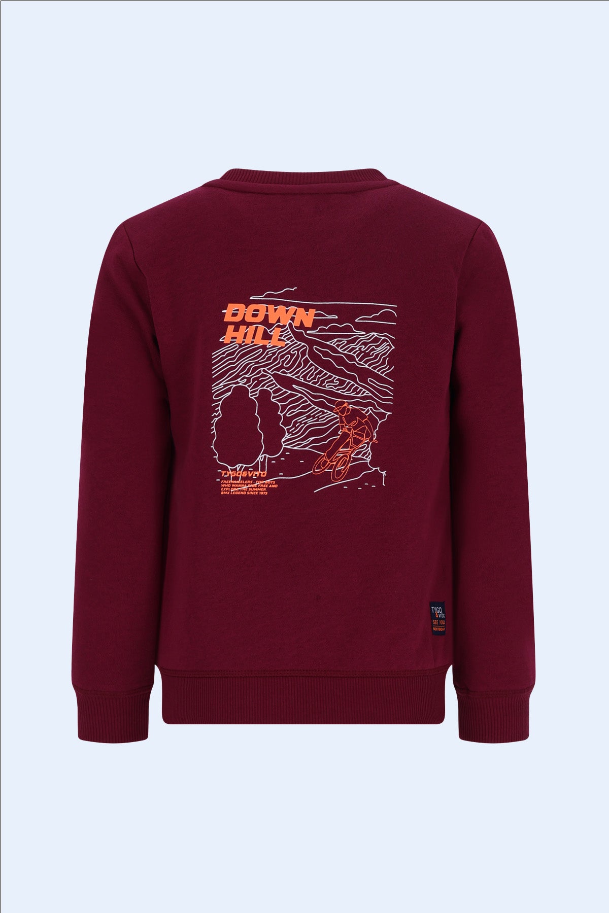 Sweater Silver Donkerrood