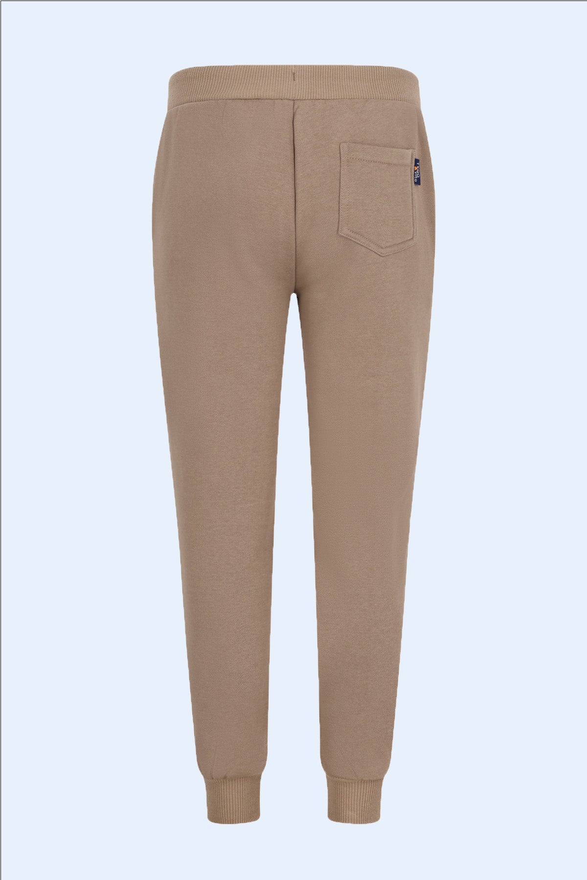 Bodi Beige Joggers