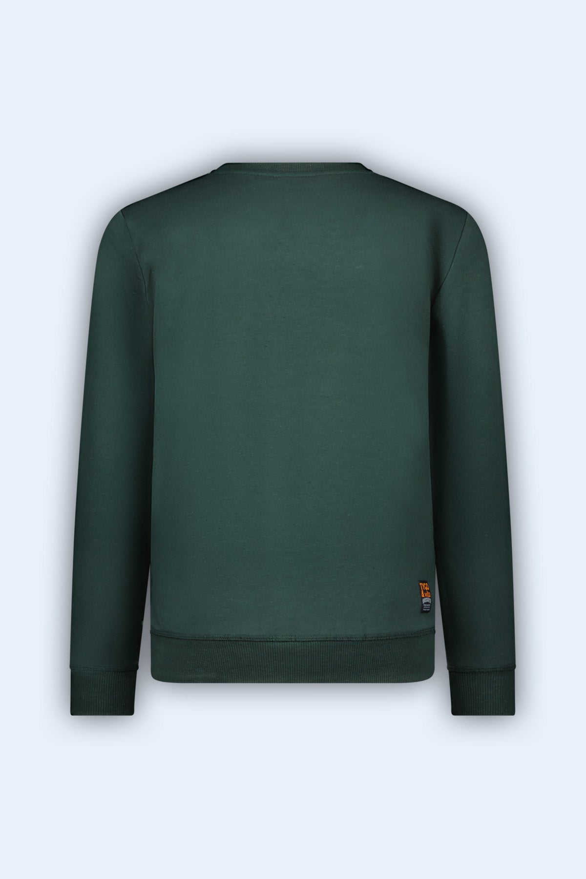 Sweater Tygo Groen*